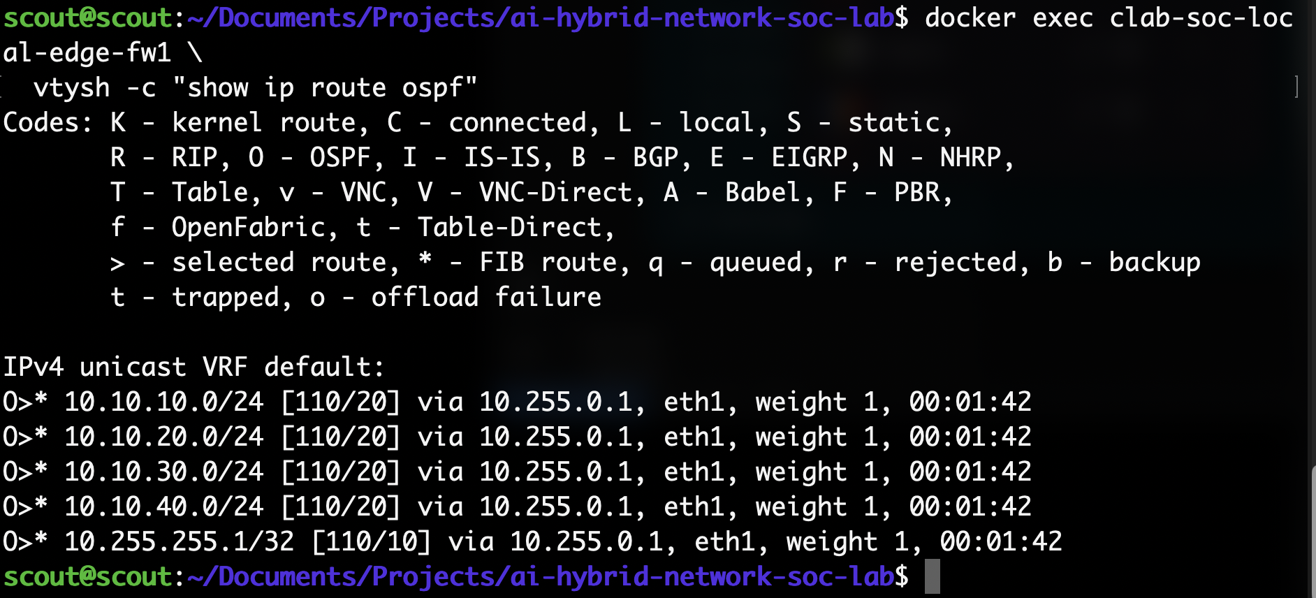 Adding edge-fw1 and OSPF — lab screenshot 3