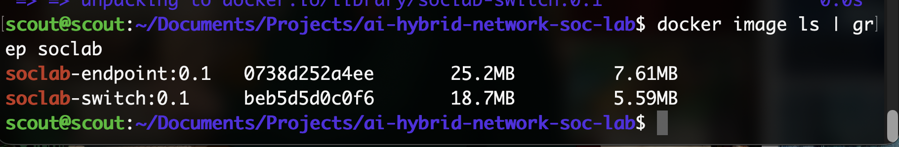 Building the local VLAN network — lab screenshot 1