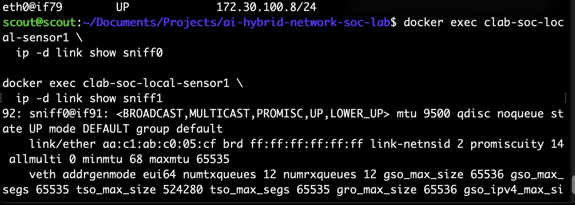 Checking capture interfaces and traffic — lab screenshot 1