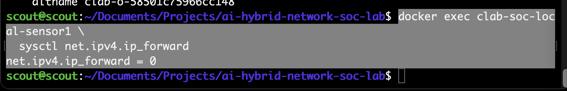 Checking capture interfaces and traffic — lab screenshot 2