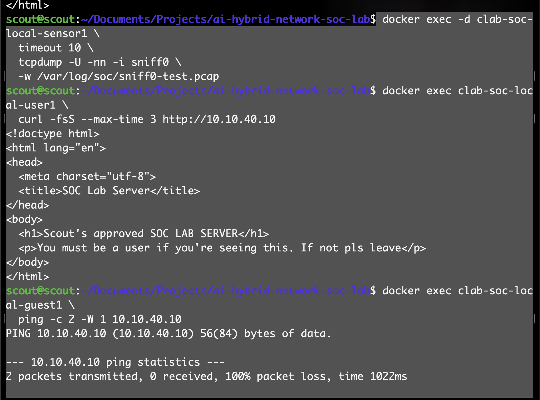Checking capture interfaces and traffic — lab screenshot 3