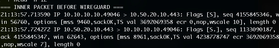 Comparing packets before and after WireGuard — lab screenshot 1