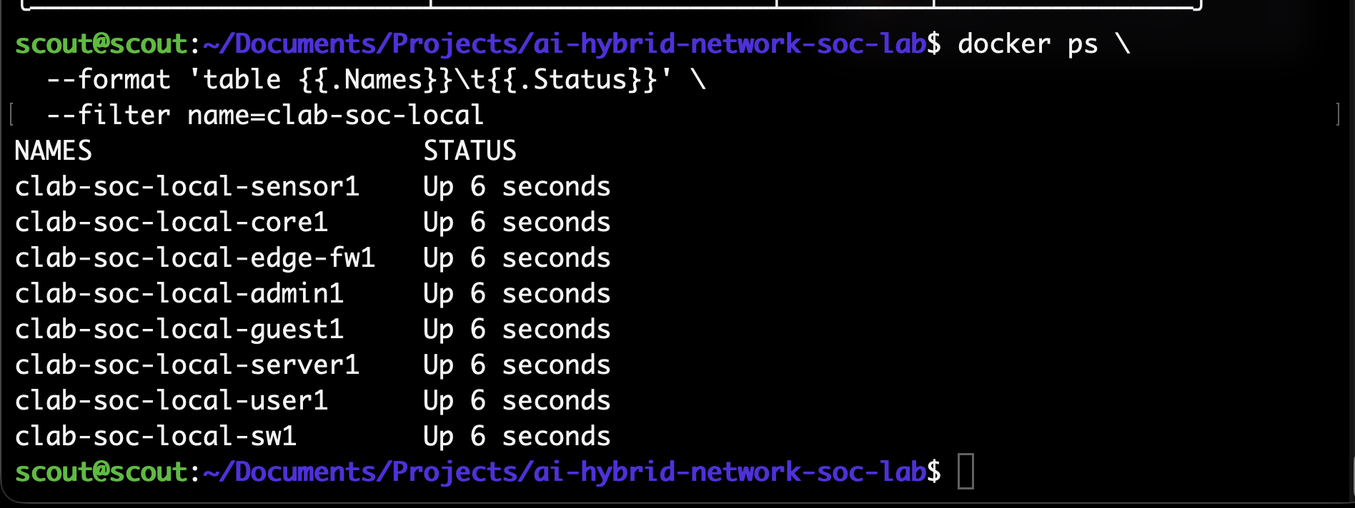 Connecting the sensor and mirroring traffic — lab screenshot 2