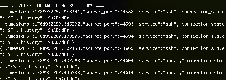 SSH password guessing — lab screenshot 2