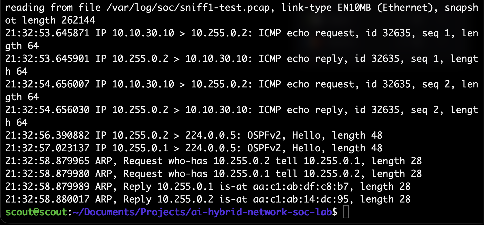 Troubleshooting duplicate packet captures — lab screenshot 1